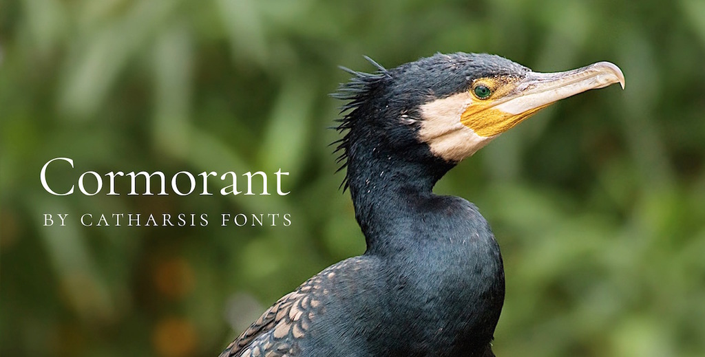 cormorant police libre de droits