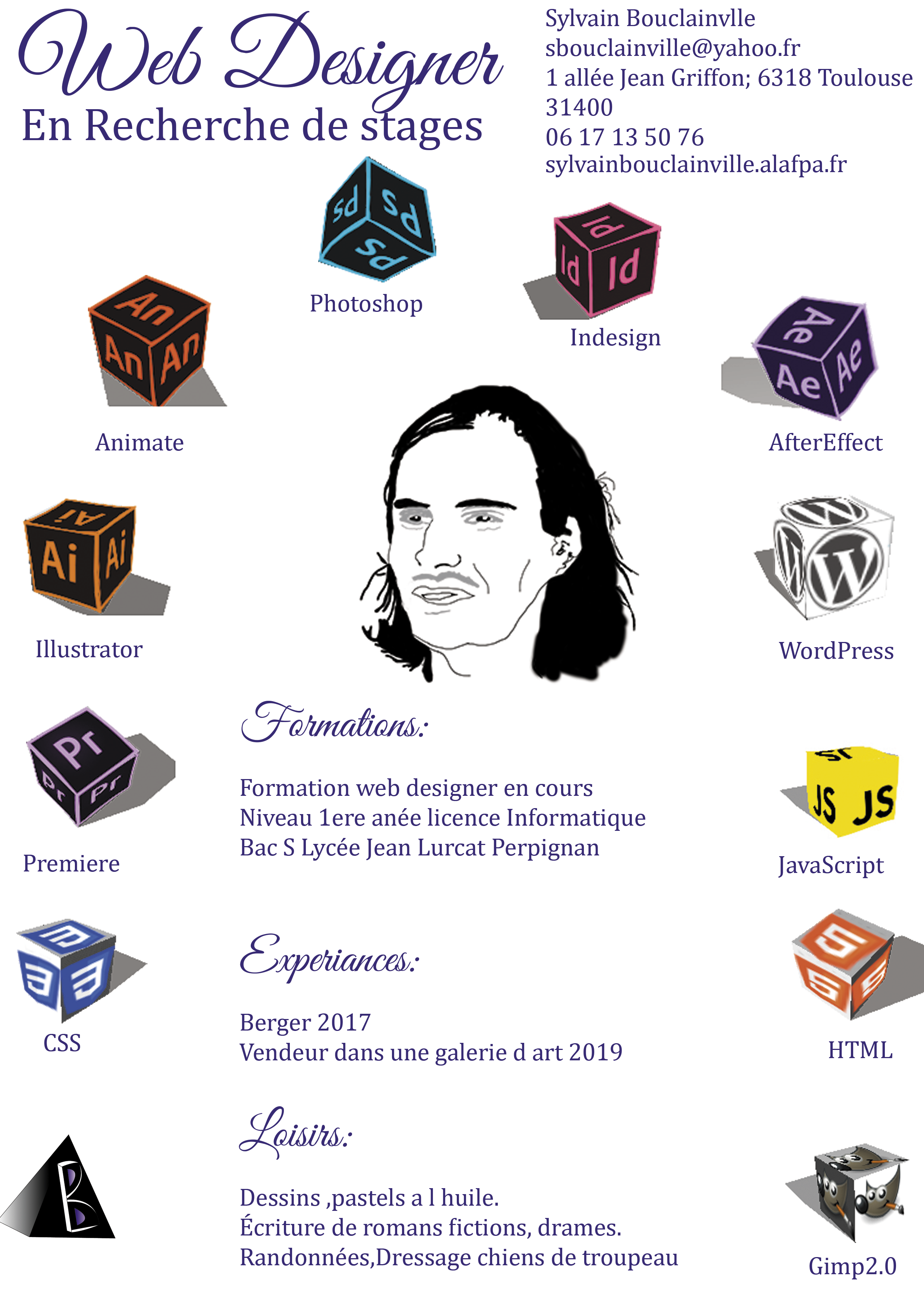 sylvain bouclainville cv
