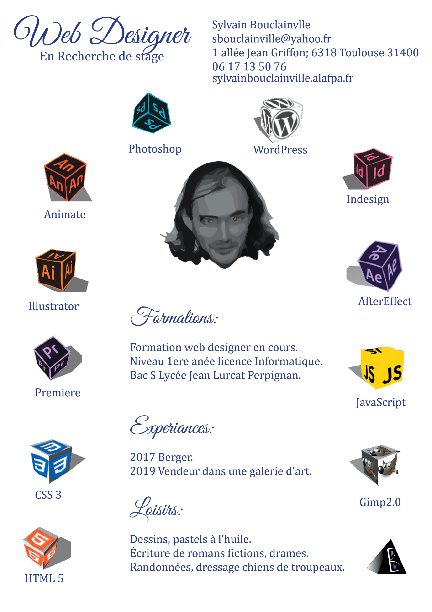 cv bouclainville sylvain web designer