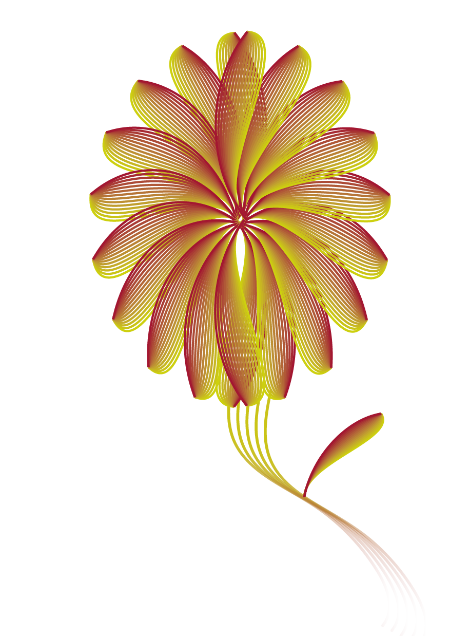 fleur vectorielle illustrator bouclainville web designer