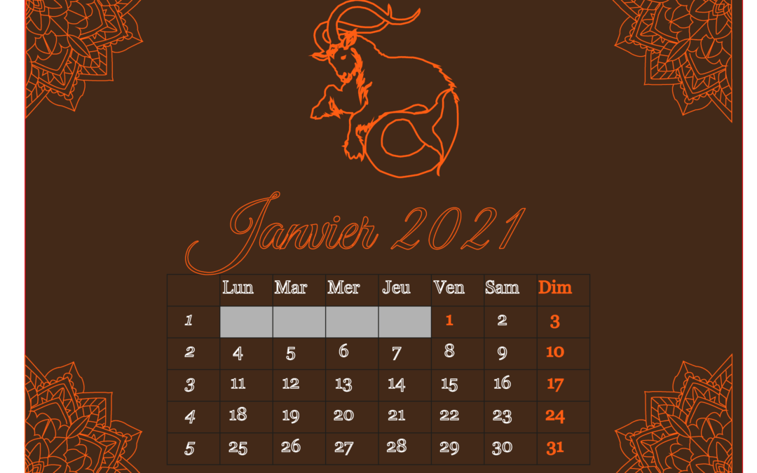 Illustrator